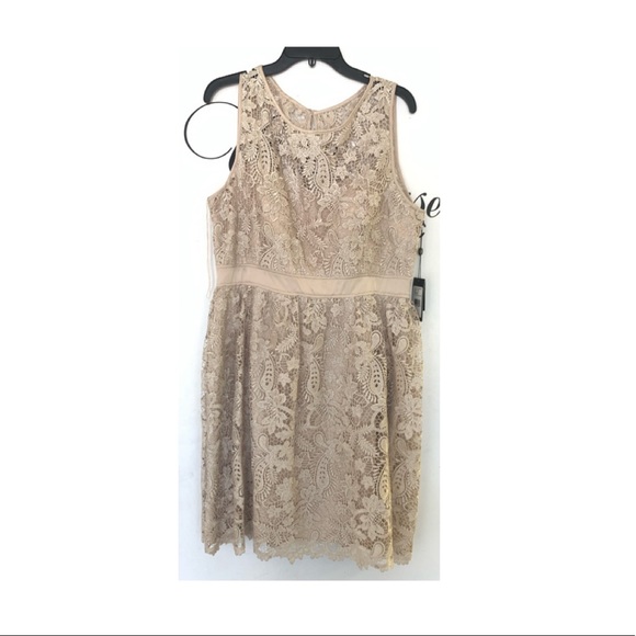 Adrianna Papell lace fit and flare sleeveless cocktail dress - Picture 4 of 10